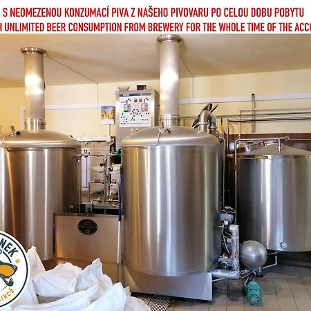 Penzion Eska S Pivovarem Mj Jince Exteriér fotografie